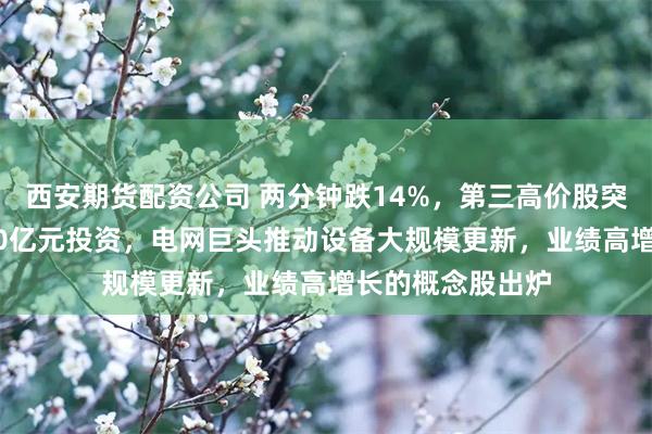 西安期货配资公司 两分钟跌14%,第三高价股突然跳水,近2000亿元投资,电网巨头推动设备大规模更新,业绩高增长的概念股出炉