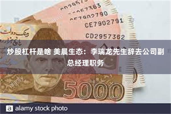 炒股杠杆是啥 美晨生态:李瑞龙先生辞去公司副总经理职务