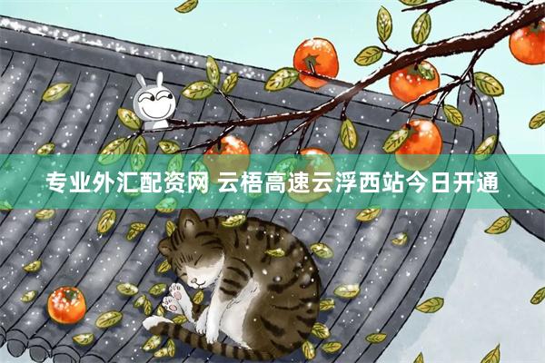 专业外汇配资网 云梧高速云浮西站今日开通