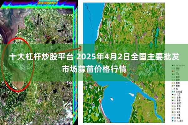 十大杠杆炒股平台 2025年4月2日全国主要批发市场蒜苗价格行情
