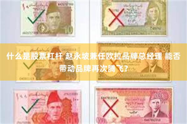 什么是股票杠杆 赵永坡兼任欧拉品牌总经理 能否带动品牌再次腾飞？