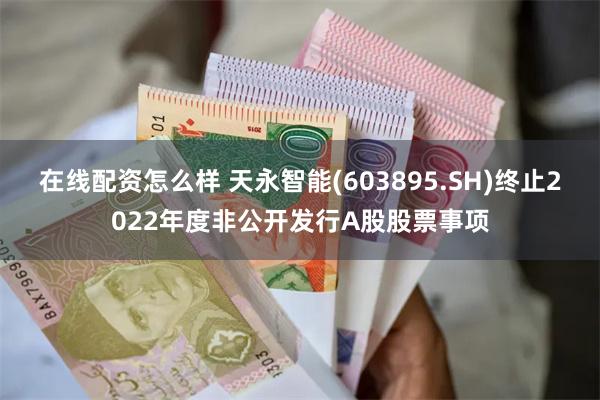 在线配资怎么样 天永智能(603895.SH)终止2022年度非公开发行A股股票事项