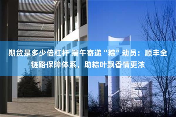 期货是多少倍杠杆 端午寄递“粽”动员：顺丰全链路保障体系，助粽叶飘香情更浓